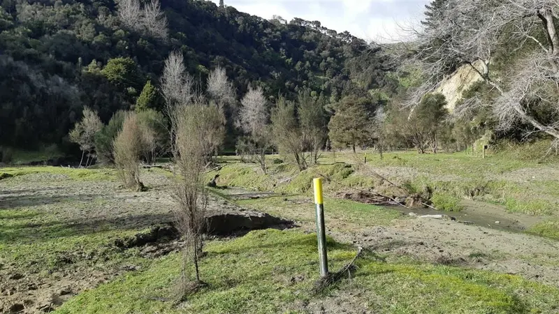 Beehive Creek Walkway