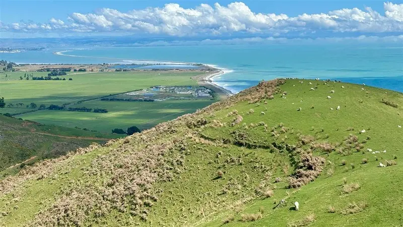 Cable Bay Walkway