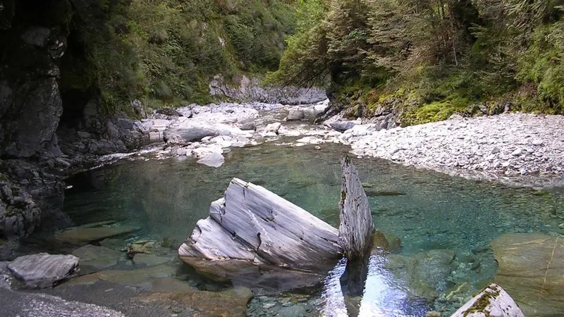 Cameron Valley Track