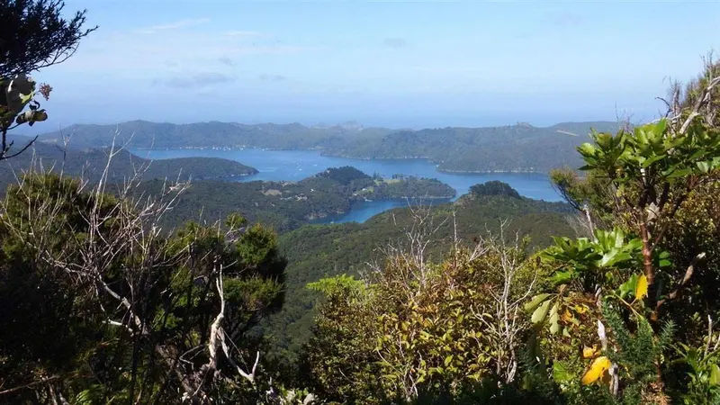 Port FitzRoy: Cooper's Castle Track