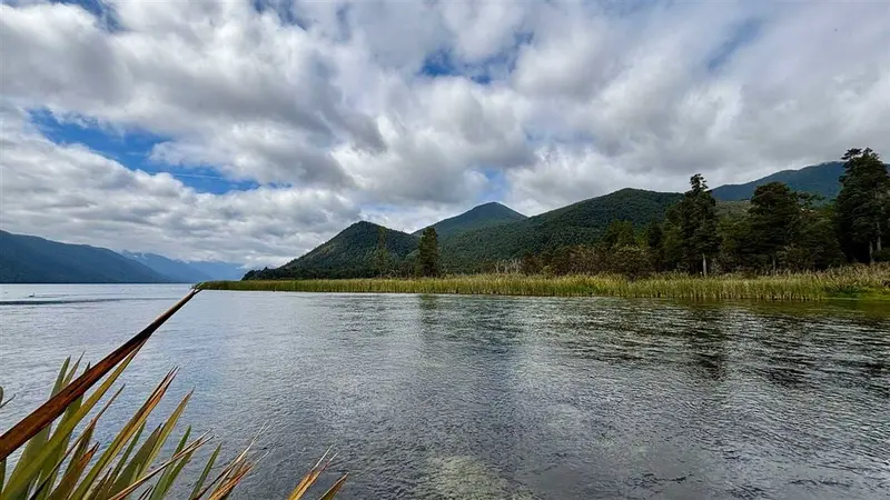 Flower Brothers Walk