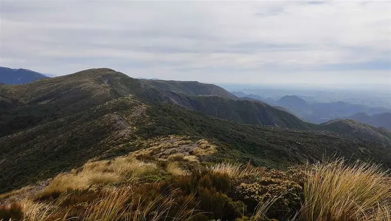 Longview Hut to Mākāretu Hut Track