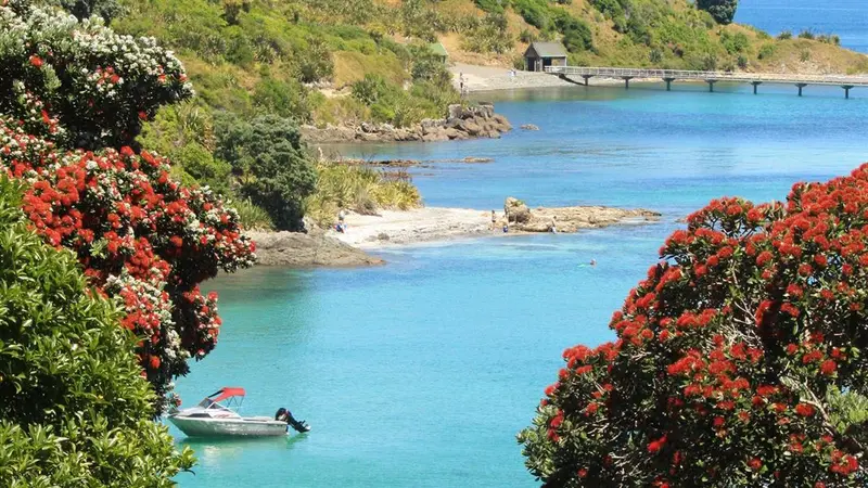 Tiritiri Matangi Island walks
