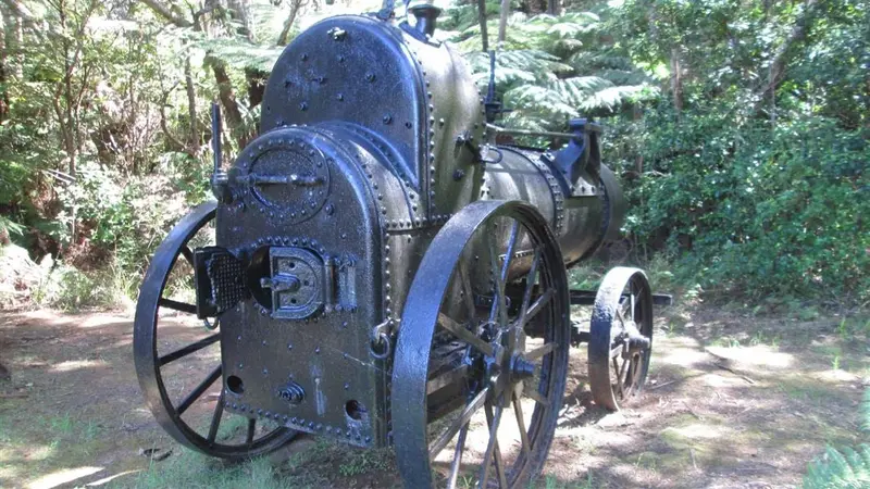 Whangaparapara: Old Mill Track