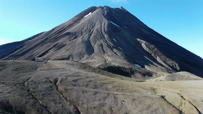 Panitahi and Syme Hut Track