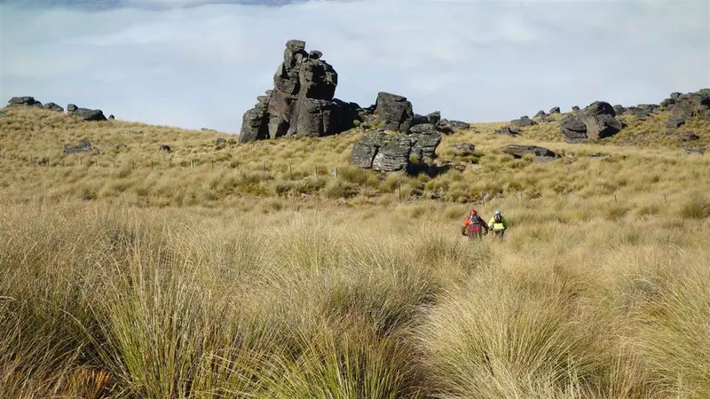 Obelisk Loop Track