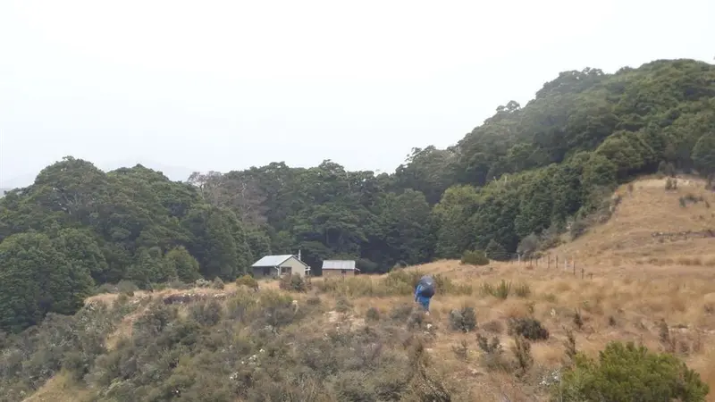 Aparima Huts/Spence Burn Junction Route