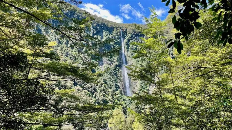 Humboldt Falls Track