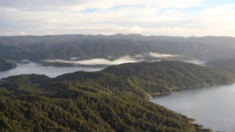 Lake Waikaremoana Track