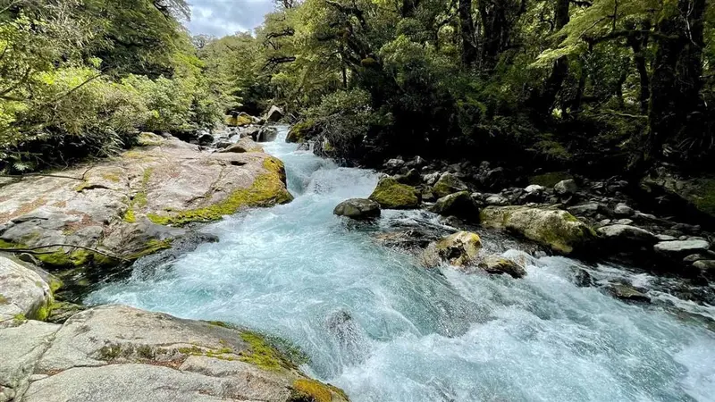 Lake Marian Falls Track