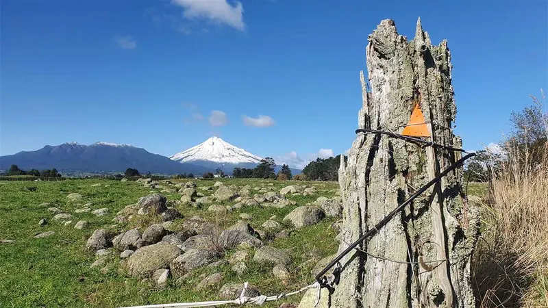 Stony River (Hangatahua) Walkway