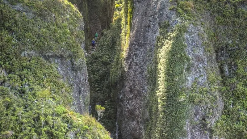 Windy Canyon and Palmer's Track to Mt Hobson (Hirakimata)