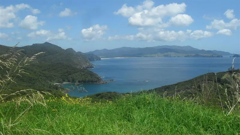 Harataonga Loop Track