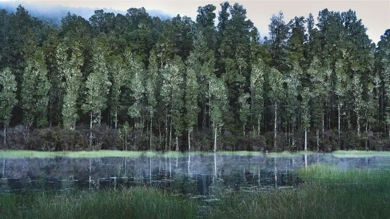 Arohaki Lagoon Track