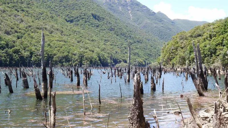 Anatoki and Historic Kill Devil Pack Tracks