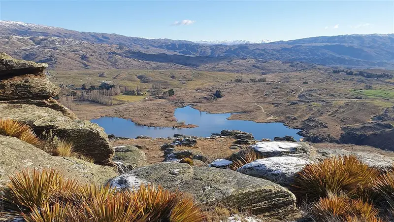 Flat Top Hill Tramping Track