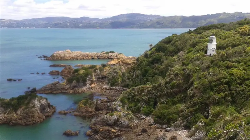 Matiu/Somes Island Loop Track