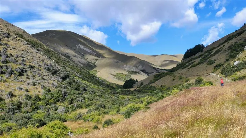 Dromedary Hill Track 