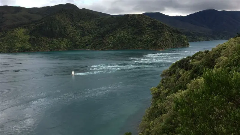 French Pass Lookout Track