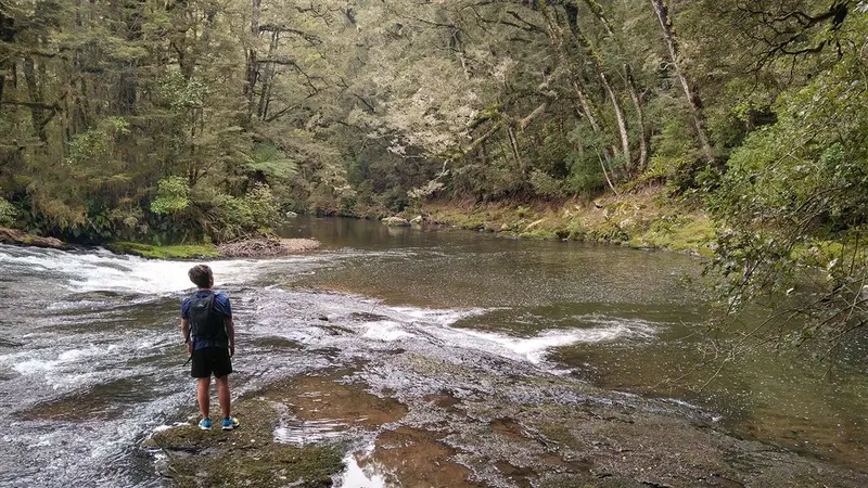 Catlins River Track