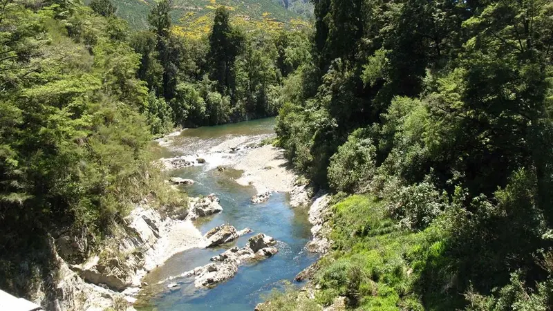Pelorus Track