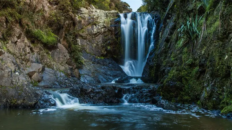 Piroa Falls Track