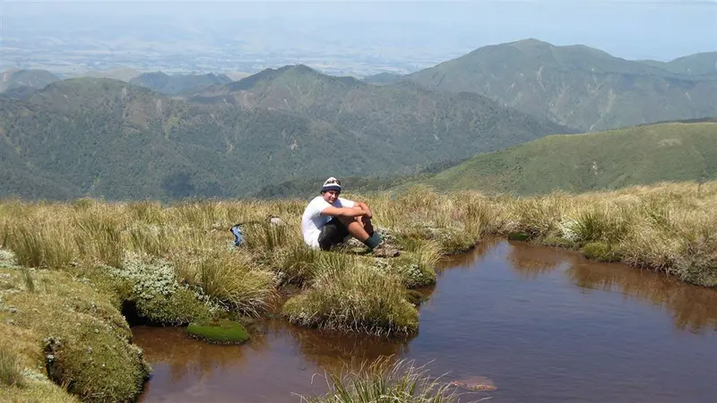 Knights-Shorts Loop Track