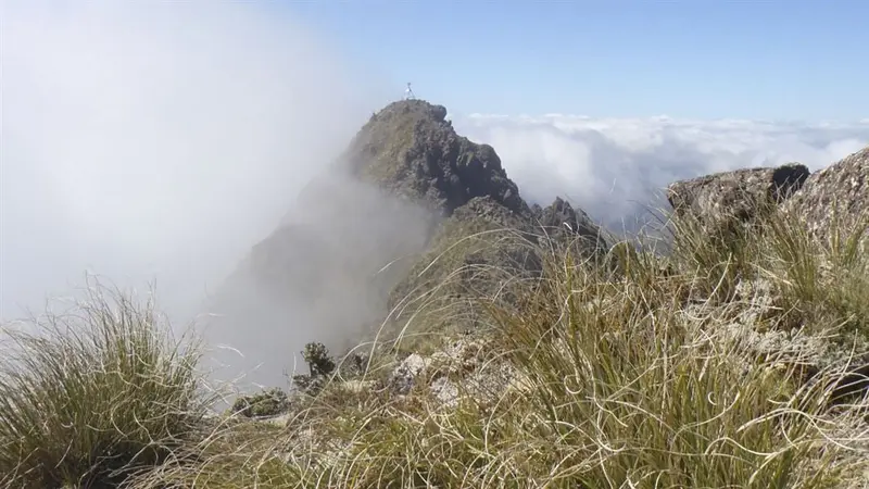 Mount Hikurangi - Te Ara ki Hikurangi