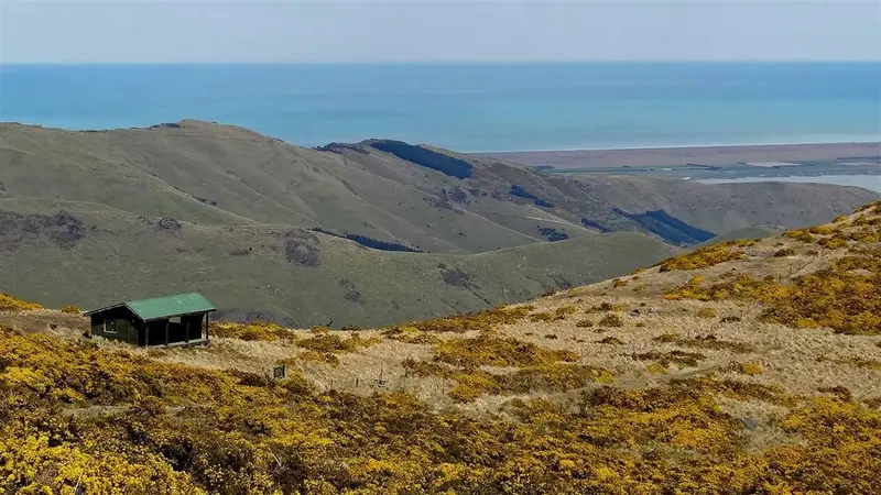 Mount Herbert Walkway/Te Ahu Pātiki