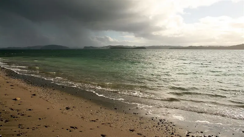 Motuora Island walks