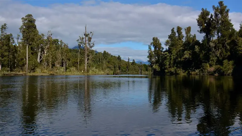 Arnold River Dam Walk