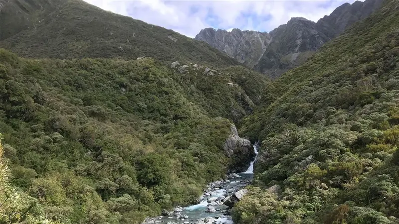 Arahura and Styx valleys tracks