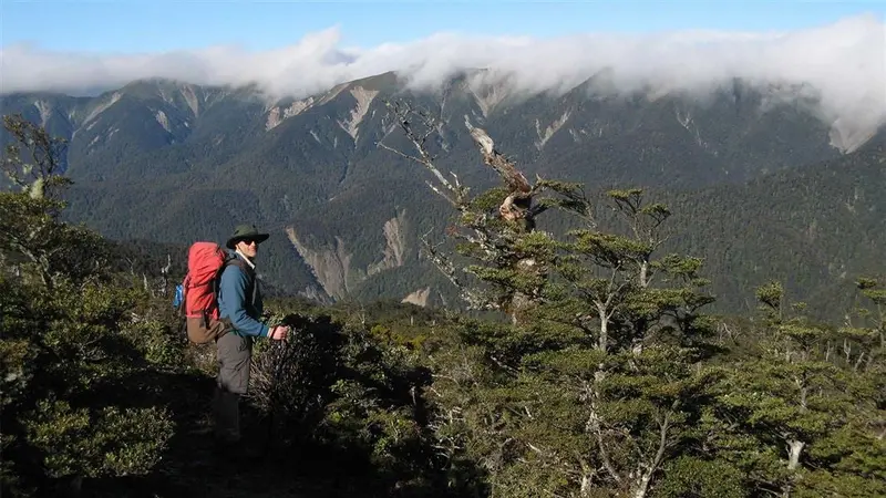 Parks Peak Track to Yeoman's Track