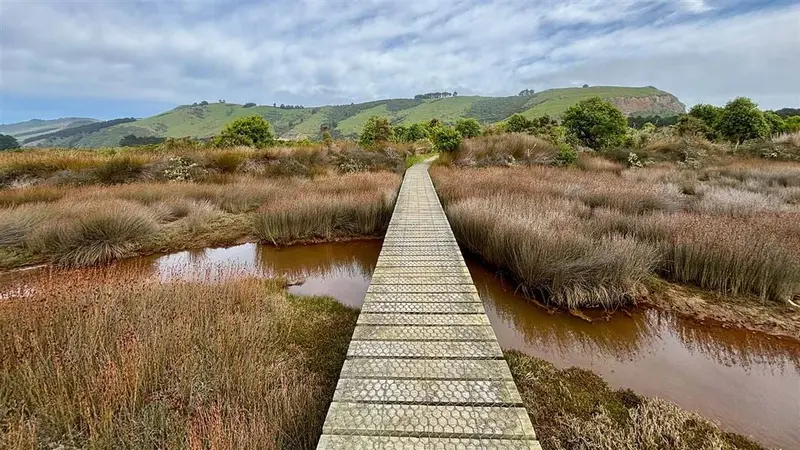 Aramoana Boardwalk