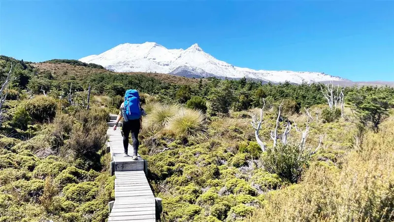 Round the Mountain Track