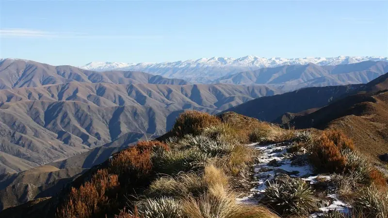 Little Mt Peel/Huatekerekere tracks