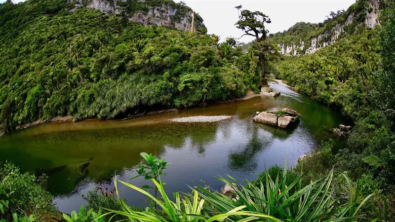 Pororari River Track