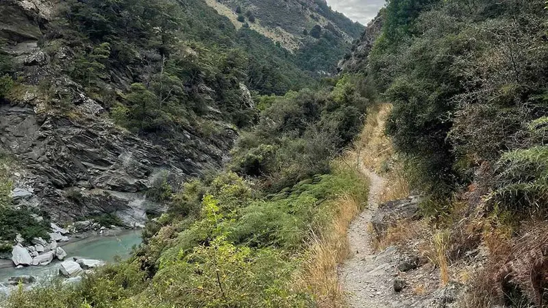 Lower Tīmaru River Track