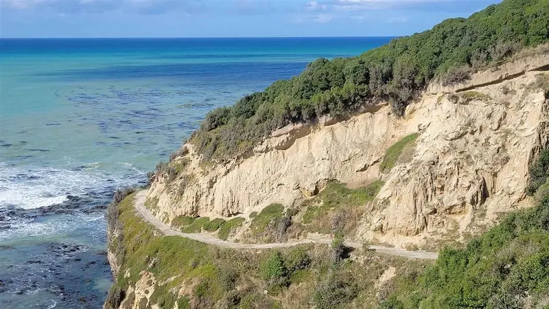 Cape Wanbrow Walking Track