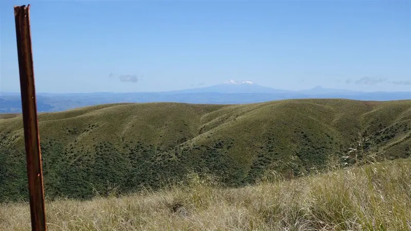 Rangiwahia Hut - Deadmans Track
