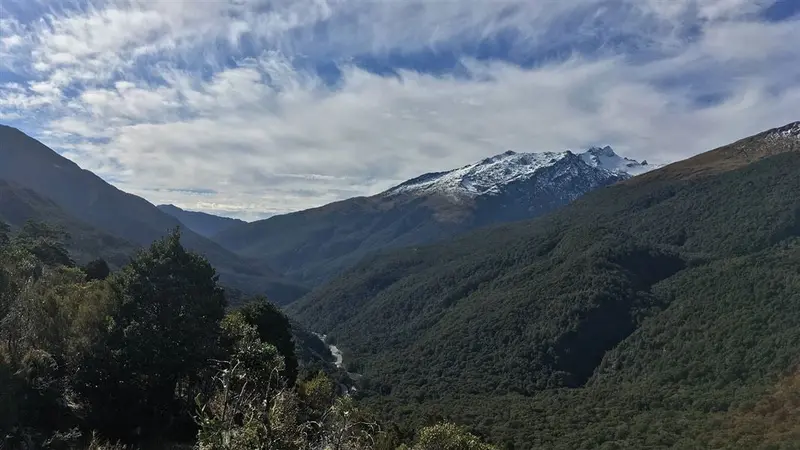 Haast Pass Lookout Track