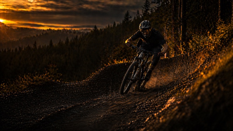 Mangamahoe Mountain Bike Park